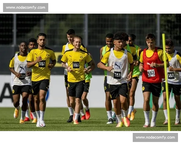 阿根廷铁哨特略执法世俱杯焦点战:多特蒙德对阵蒙特雷 阿根廷铁哨特略执法世俱杯焦点战:多特蒙德对阵蒙特雷