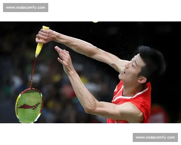 李宗伟与谌龙的世纪对决与羽坛双雄传奇巅峰时代的荣耀与坚守史诗